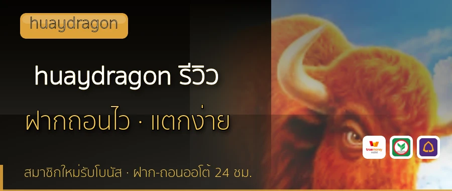 huaydragon รีวิว huaydragon